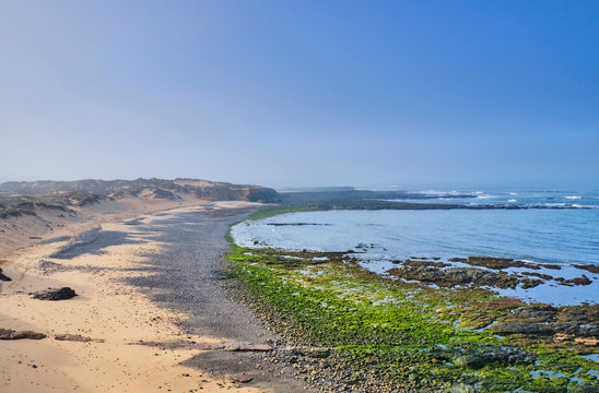 Portugal, Alentejo, Vila Nova?de?Milfontes, Algae on sandy coastal beach