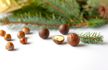 Chocolates truffles with Christmas tree twig