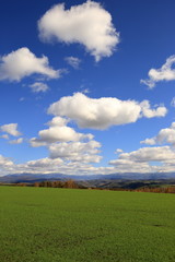 北海道 富良野市 秋の田園風景 ( Autumnal ruralscape at Furano City, Hokkaido, Japan )