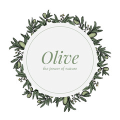Olive wreath badge isolated on white background. Hand drawn olive branches.