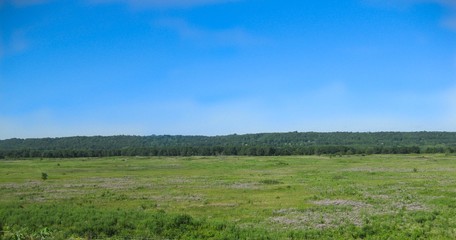 Obraz premium green field and blue sky
