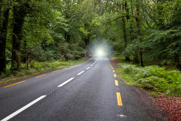 Carretera en el bosque con luz al fondo
