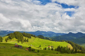 forested rolling hill on a cloudy day. lovely nature scenery of mountainous countryside.