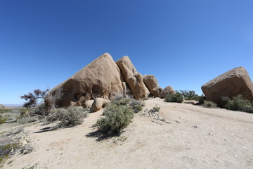 Rock at Joshua Tree national park
