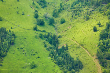 mountainous landscape with forested hills. beautiful summer
