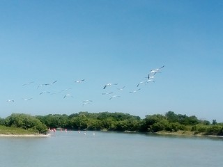 EL SUR DE MEXICO