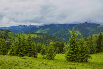 mountainous landscape with forested hills. beautiful summer