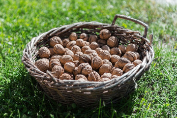 raw wallnuts in a basket