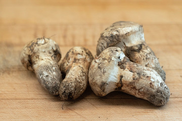 fresh matsutake mushrooms on wooden cutting board