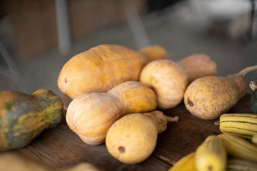 Violina Di Rugosa Butternut winter Squash