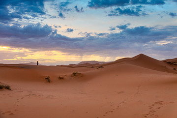 Fototapeta na wymiar Landscape of a desert with a lone figure