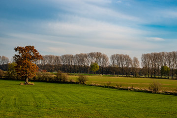 Fototapeta na wymiar Autumn landscape. Blue sky over an empty field.