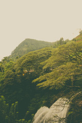 view of mountains in Sri Lanka