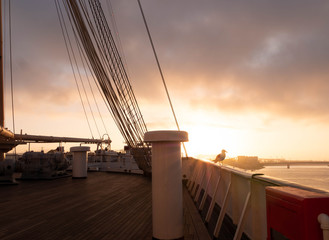 Seagull Sunset of Long Beach port from the deck of the Queen Mary