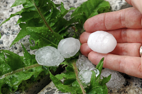 Gro&szlig;e Hagelk&ouml;rner auf der Hand von einer Frau bei einem Unwetter