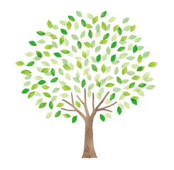 Obraz premium Duże drzewo z odświeżającą akwarelą