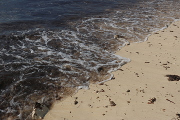 Brown waves full of algae rolling onto the beach