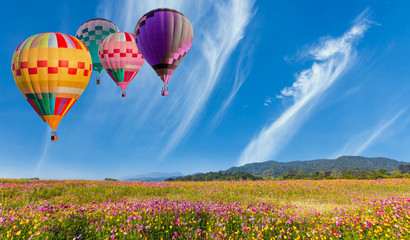 Beautiful landscape hot air balloons flying over garden cosmos flowers