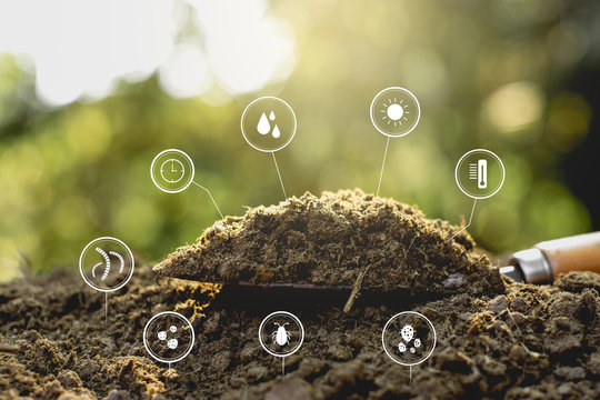  Dung or manure with technology, icons about decomposition become soil around.
