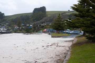 Fototapeta na wymiar Beach scene in Tasmania 
