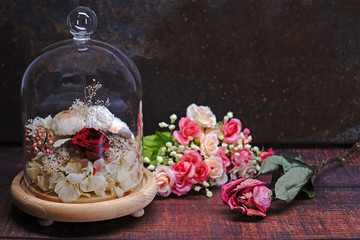 Eternal red rose and white Hydrangea flowers in crystal dome for room decoration during Valentine’s day. DIY (Do It Yourself) of dried flowers, Idea for room interior. Selective focus with copy space