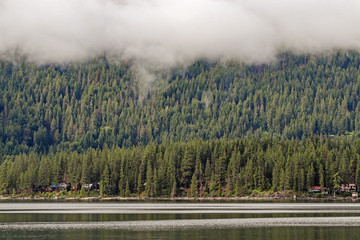 Trees across the lake with low clouds