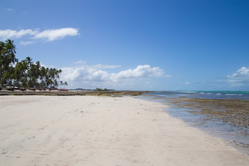 Carneiros Beach, a Tropical beach at Pernambuco, Brazil - 307528899