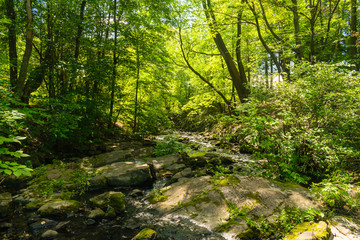 Quebec- QC Canada - Sept 2019 - Parc des Moulins