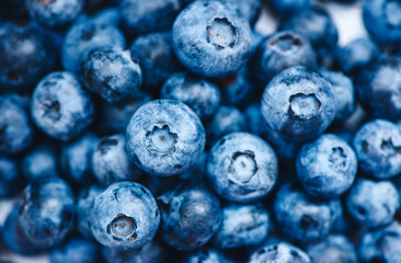 Close up view of freshly picked blueberries toned in color of the year 2020.