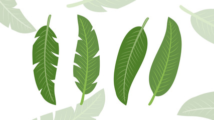 Ins green leaf background template