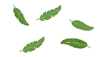 Ins green leaf background template