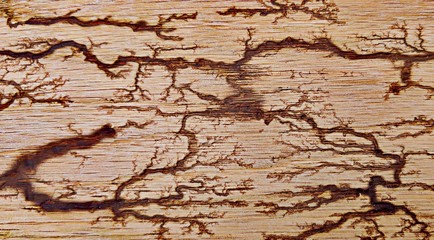 Fractal Abstract Design On Oak Wood