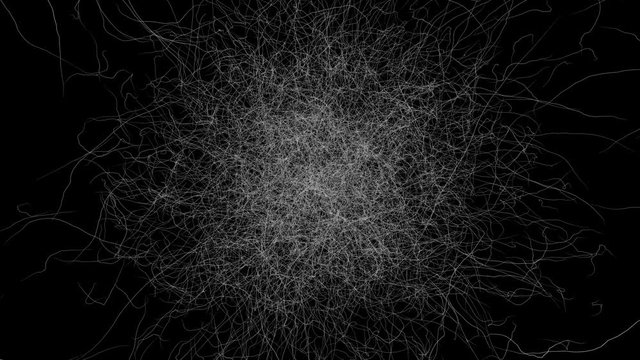 The geometric figure of the sprawl of white lines.