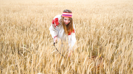 Girl in an old traditional Belarusian dress with embroidery. Young beautiful girl standing on a wheat field and reaping wheat with an old sickle. Belarusian girl. History and traditions of Belarus.