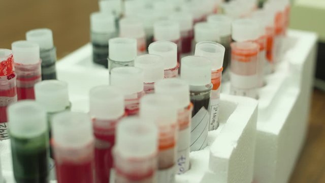 laboratory sample test tubes 4k