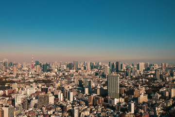 Fototapeta premium 東京