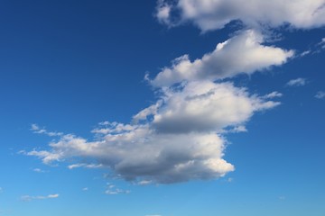 雲　空　秋　杤木　風景