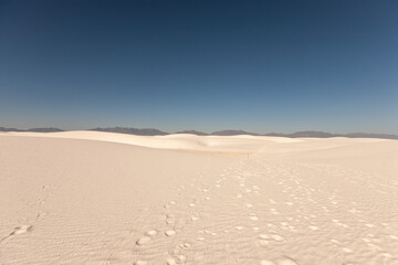 White Sands, National Monument. New Mexico.