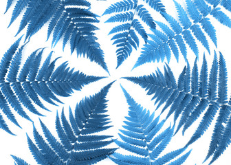 Fern branches pattern isolated on white background. Clasic blue color of year.