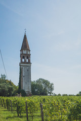 Tower by vineyard on island of Mazzorbo, by Burano, Venice, Italy