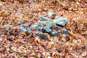 A pile of rocks on a forest floor.