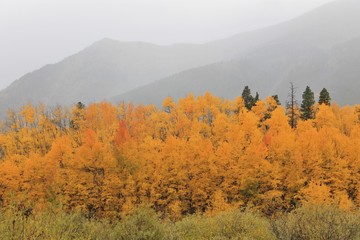 Autumn in the Mountains