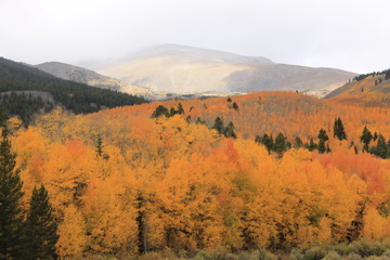 Fototapeta premium Autumn in the Mountains