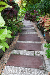 Stone pathway in the garden