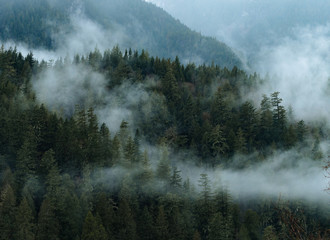 Dark and dramatic scene with fog and clouds above forest in Canada