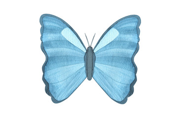 Watercolor blue butterfly isolated on white background. Tropical butterfly for design cards, invitations, children’s wear. Butterfly art poster. Realistic style.