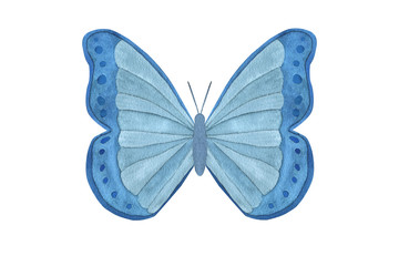 Watercolor blue butterfly isolated on white background. Tropical butterfly for design cards, invitations, children’s wear. Butterfly art poster. Realistic style.