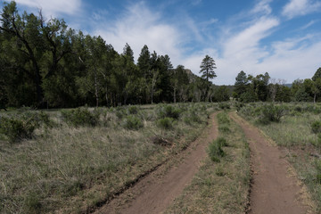 Fototapeta na wymiar The Largo trail near Quemado lake, New Mexico.