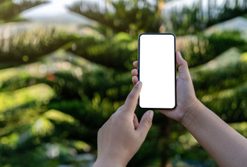 Mockup image of a hand holding and showing smartphone with blank white screen in front of the garden background.