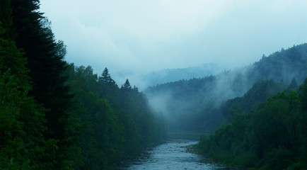 Landscape with forest and river in retro classic style. Healthy trees in a forest. Dramatic wall forest across blue sky in the fog for dramatic trend background.